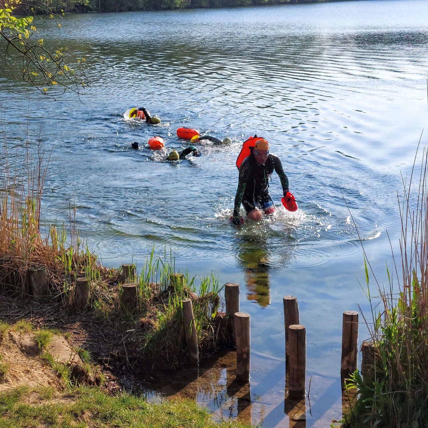 Zwemmers tijdens een openwatertraining van Be-Fast